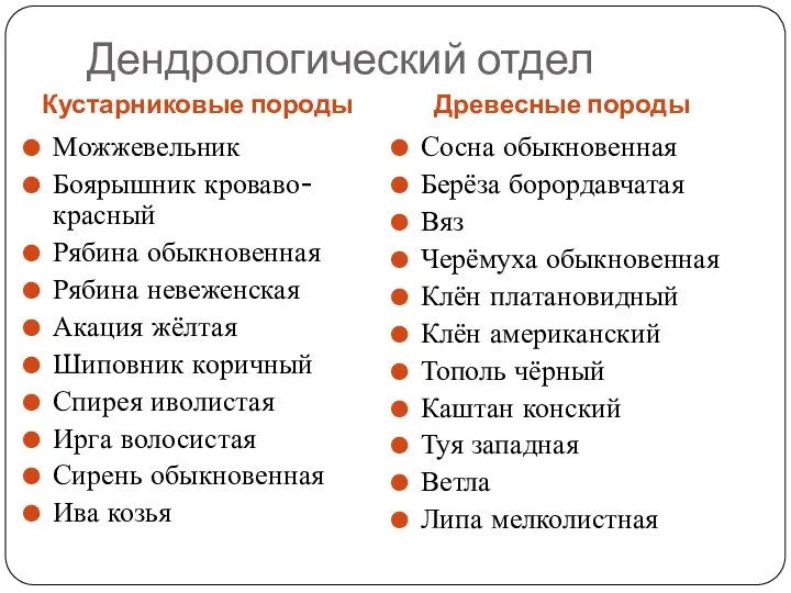 Дендрологический отдел Кустарниковые породы Древесные породы Можжевельник Боярышник кроваво-красный Рябина обыкновенная