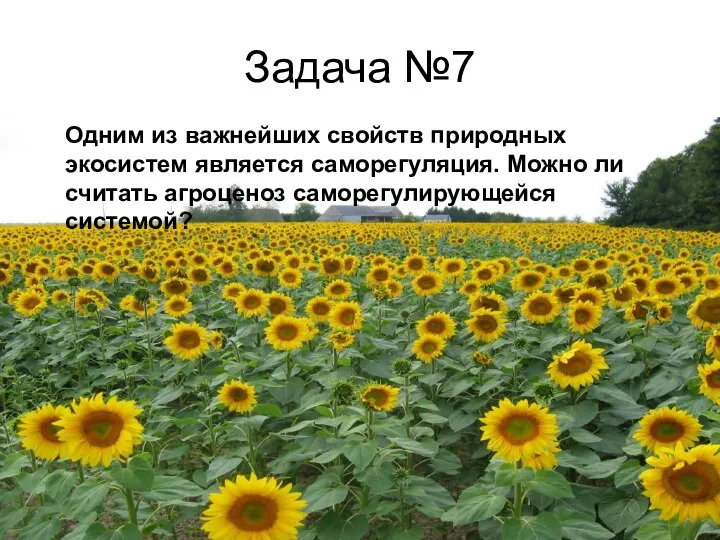 Задача №7 Одним из важнейших свойств природных экосистем является саморегуляция. Можно ли считать агроценоз саморегулирующейся системой?