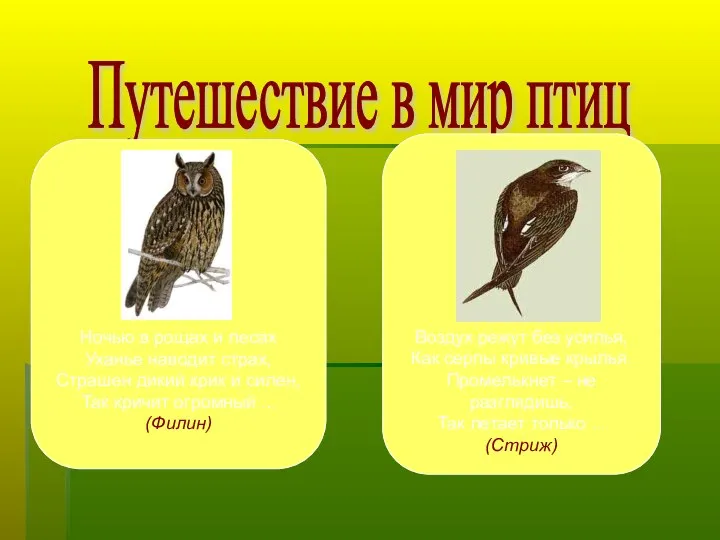 Путешествие в мир птиц Ночью в рощах и лесах Уханье наводит