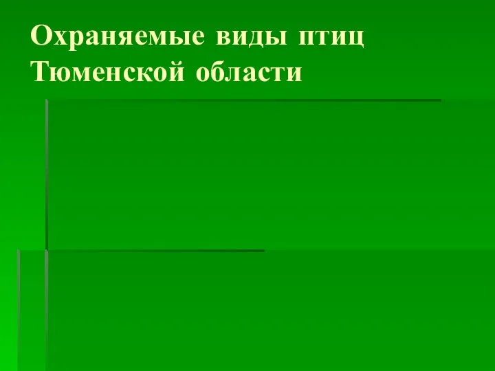 Охраняемые виды птиц Тюменской области