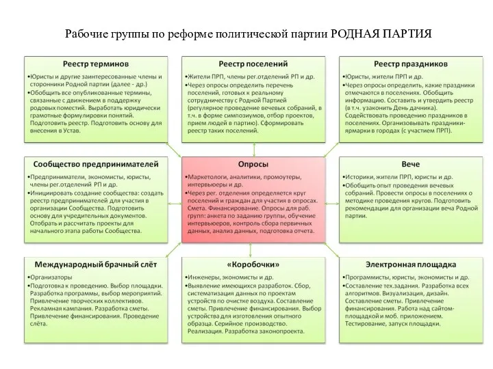 Рабочие группы по реформе политической партии РОДНАЯ ПАРТИЯ