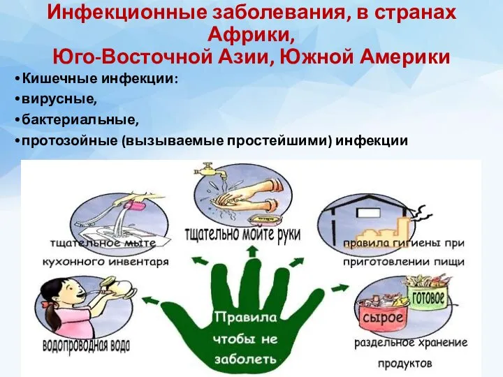 Инфекционные заболевания, в странах Африки, Юго-Восточной Азии, Южной Америки Кишечные инфекции: