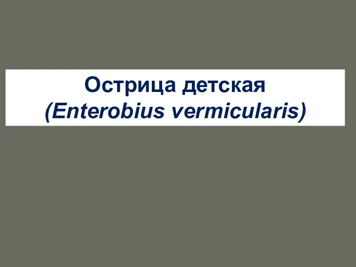 Острица детская (Enterobius vermicularis)