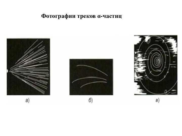 Фотографии треков α-частиц