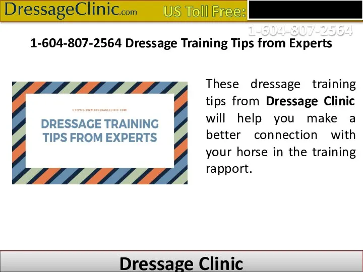 1-604-807-2564 Dressage Training Tips from Experts These dressage training tips from