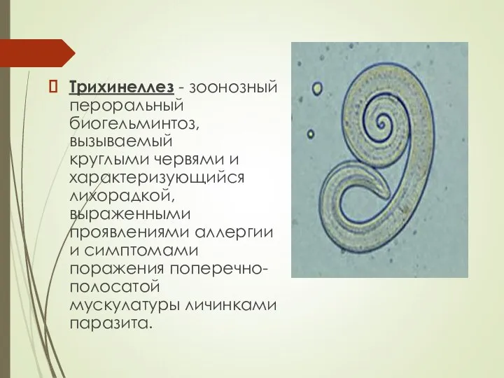 Трихинеллез - зоонозный пероральный биогельминтоз, вызываемый круглыми червями и характеризующийся лихорадкой,