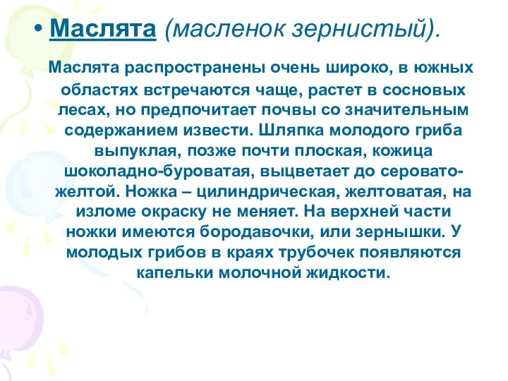 Маслята (масленок зернистый). Маслята распространены очень широко, в южных областях встречаются