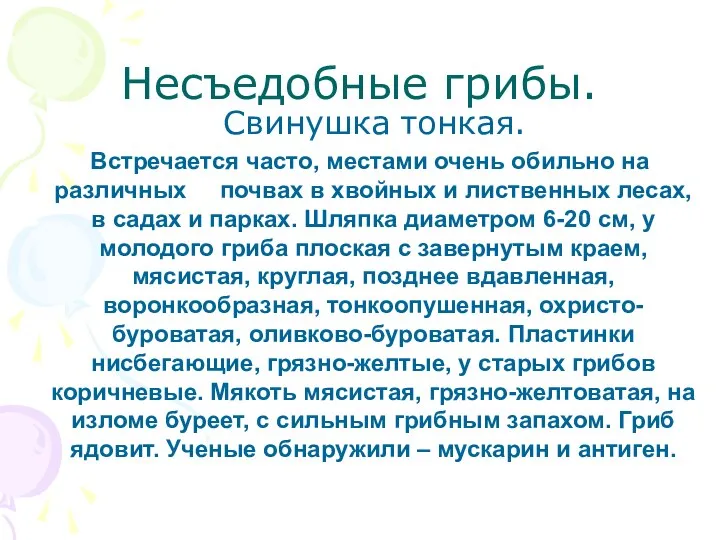 Несъедобные грибы. Свинушка тонкая. Встречается часто, местами очень обильно на различных