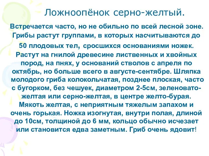 Ложноопёнок серно-желтый. Встречается часто, но не обильно по всей лесной зоне.