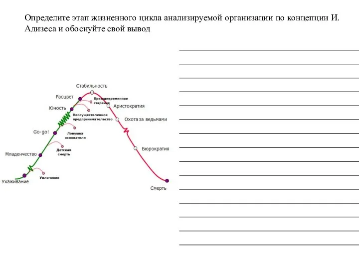 Определите этап жизненного цикла анализируемой организации по концепции И. Адизеса и обоснуйте свой вывод