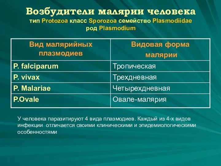 Возбудители малярии человека тип Protozoa класс Sporozoa семейство Plasmodiidae род Plasmodium