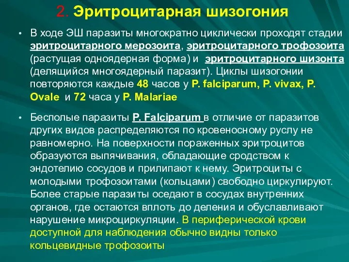 2. Эритроцитарная шизогония В ходе ЭШ паразиты многократно циклически проходят стадии