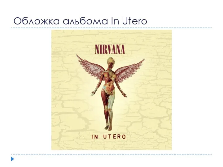 Обложка альбома In Utero