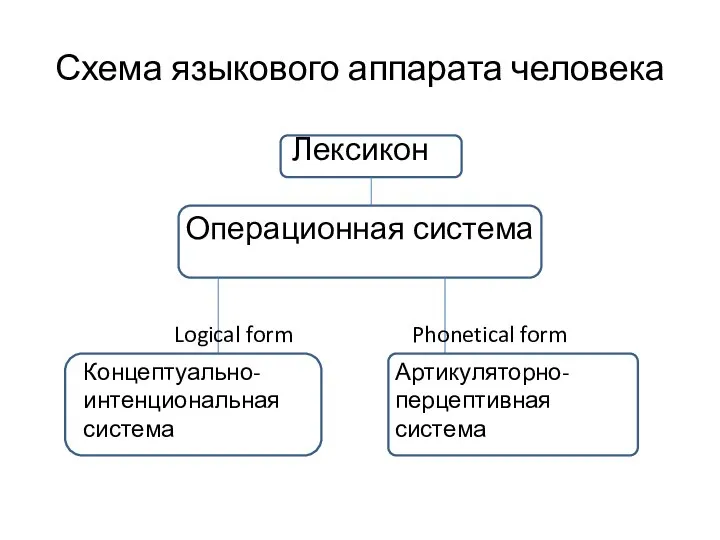 Схема языкового аппарата человека Лексикон Операционная система Концептуально- интенциональная система Артикуляторно-