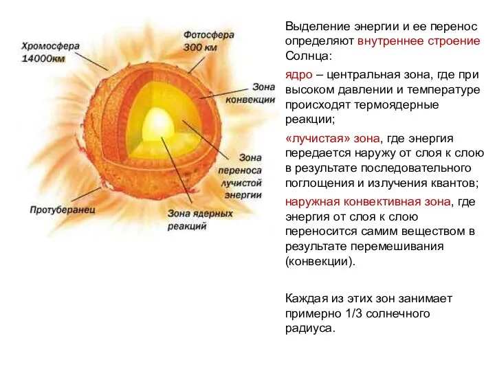 Выделение энергии и ее перенос определяют внутреннее строение Солнца: ядро –