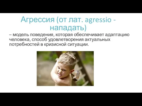 Агрессия (от лат. agressio - нападать) – модель поведения, которая обеспечивает