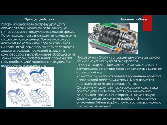 Принцип действия Роторы вращаются навстречу друг другу, соблюдая принцип ведомости. Движение