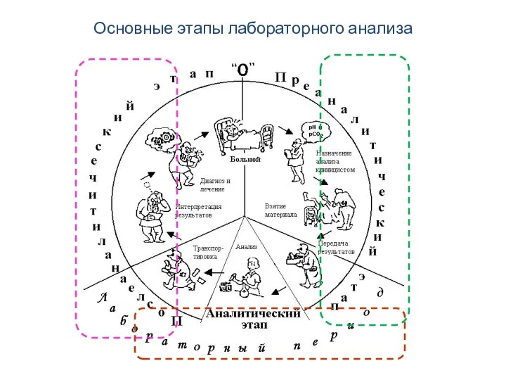 Основные этапы лабораторного анализа