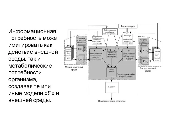 Информационная потребность может имитировать как действие внешней среды, так и метаболические