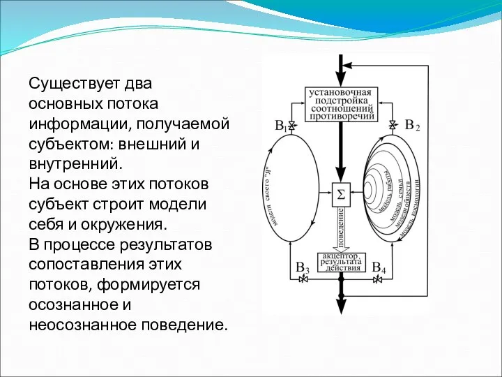 Существует два основных потока информации, получаемой субъектом: внешний и внутренний. На