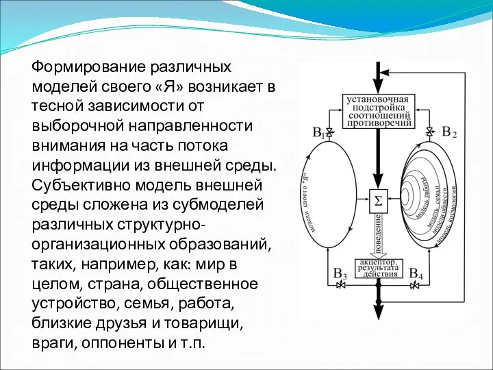 Формирование различных моделей своего «Я» возникает в тесной зависимости от выборочной