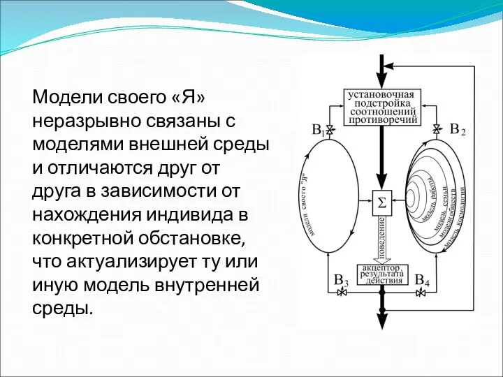 Модели своего «Я» неразрывно связаны с моделями внешней среды и отличаются