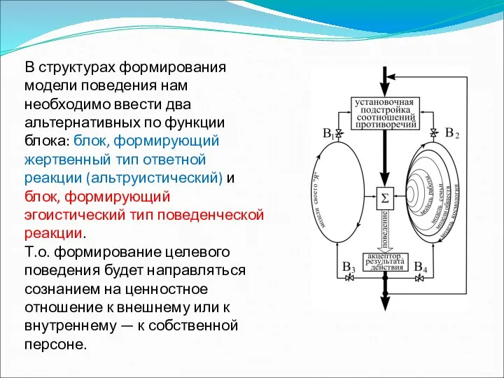 В структурах формирования модели поведения нам необходимо ввести два альтернативных по