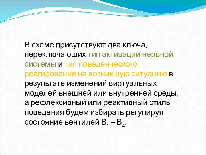 В схеме присутствуют два ключа, переключающих тип активации нервной системы и