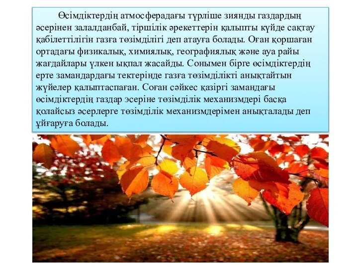 Өсімдіктердің атмосферадағы түрліше зиянды газдардың әсерінен залалданбай, тіршілік әрекеттерін қалыпты күйде