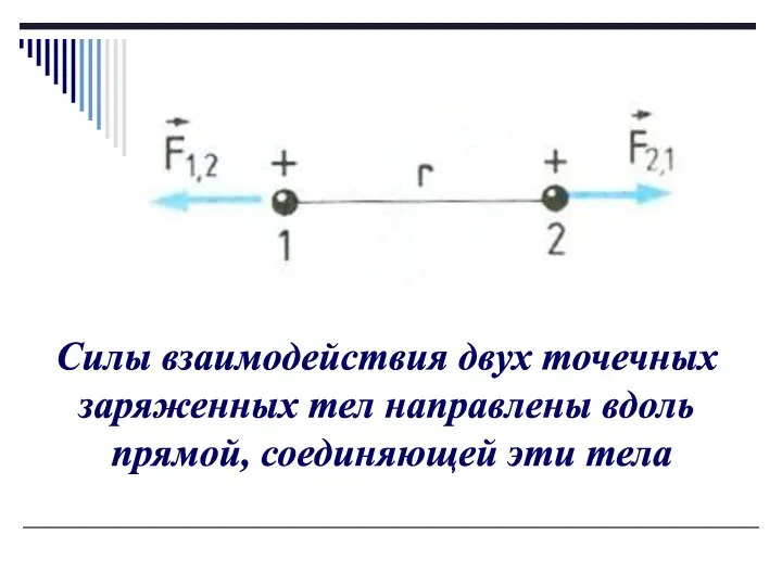 Силы взаимодействия двух точечных заряженных тел направлены вдоль прямой, соединяющей эти тела