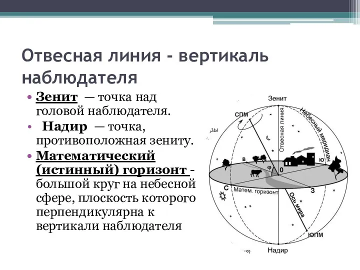 Отвесная линия - вертикаль наблюдателя Зенит — точка над головой наблюдателя.