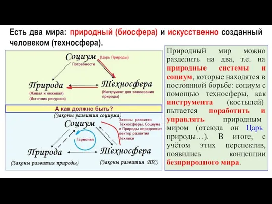 Природный мир можно разделить на два, т.е. на природные системы и