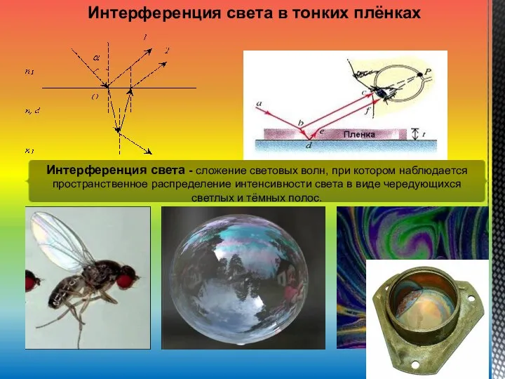 Интерференция света в тонких плёнках Интерференция света - сложение световых волн,