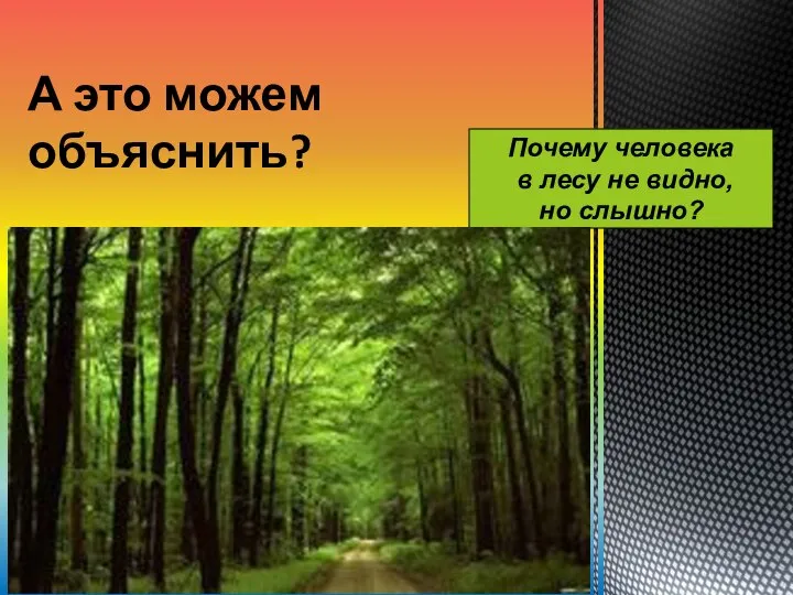 А это можем объяснить? Почему человека в лесу не видно, но слышно?