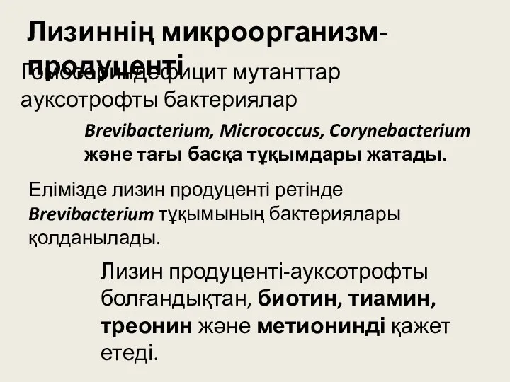 Лизиннің микроорганизм-продуценті Гомосериндефицит мутанттар ауксотрофты бактериялар Brevibacterium, Micrococcus, Corynebacterium және тағы