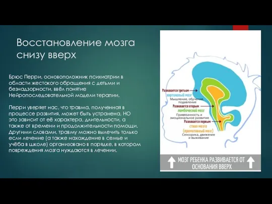 Восстановление мозга снизу вверх Брюс Перри, основоположник психиатрии в области жестокого