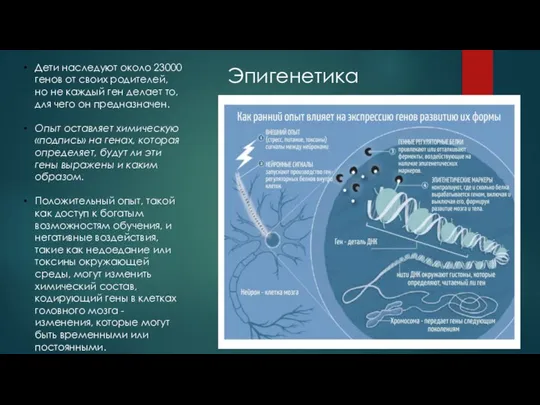 Дети наследуют около 23000 генов от своих родителей, но не каждый