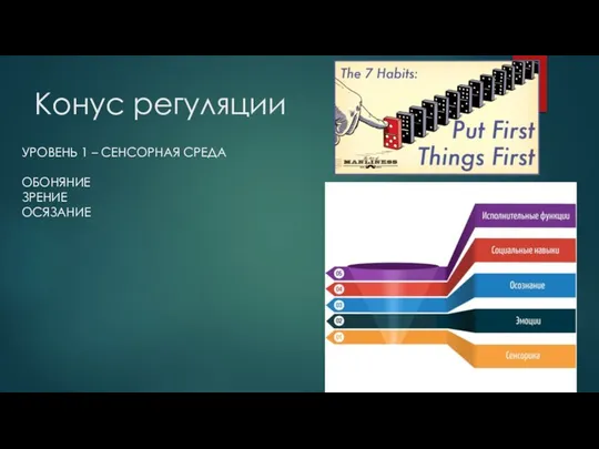 Конус регуляции УРОВЕНЬ 1 – СЕНСОРНАЯ СРЕДА ОБОНЯНИЕ ЗРЕНИЕ ОСЯЗАНИЕ