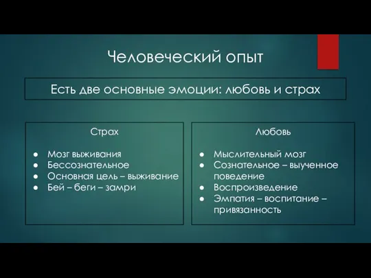 Человеческий опыт Есть две основные эмоции: любовь и страх Страх Мозг