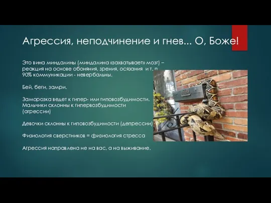 Это вина миндалины (миндалина «захватывает» мозг) – реакция на основе обоняния,