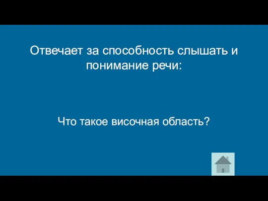 Что такое височная область? Отвечает за способность слышать и понимание речи: