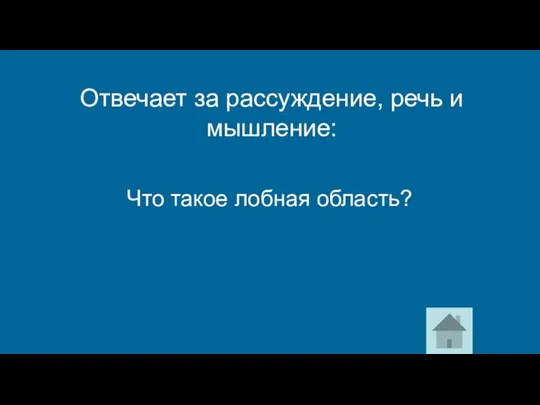 Что такое лобная область? Отвечает за рассуждение, речь и мышление: