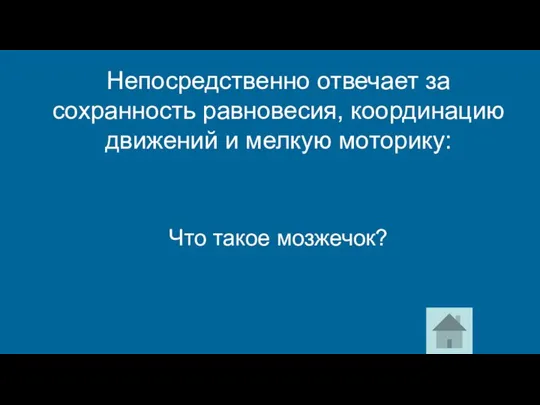 Что такое мозжечок? Непосредственно отвечает за сохранность равновесия, координацию движений и мелкую моторику: