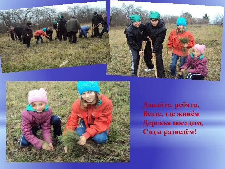 Давайте, ребята, Везде, где живём Деревья посадим, Сады разведём!