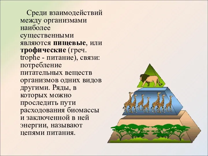 Среди взаимодействий между организмами наиболее существенными являются пищевые, или трофические (греч.