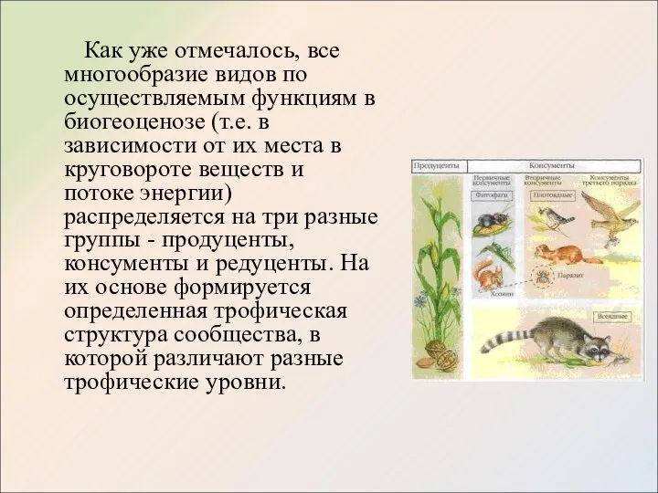 Как уже отмечалось, все многообразие видов по осуществляемым функциям в биогеоценозе