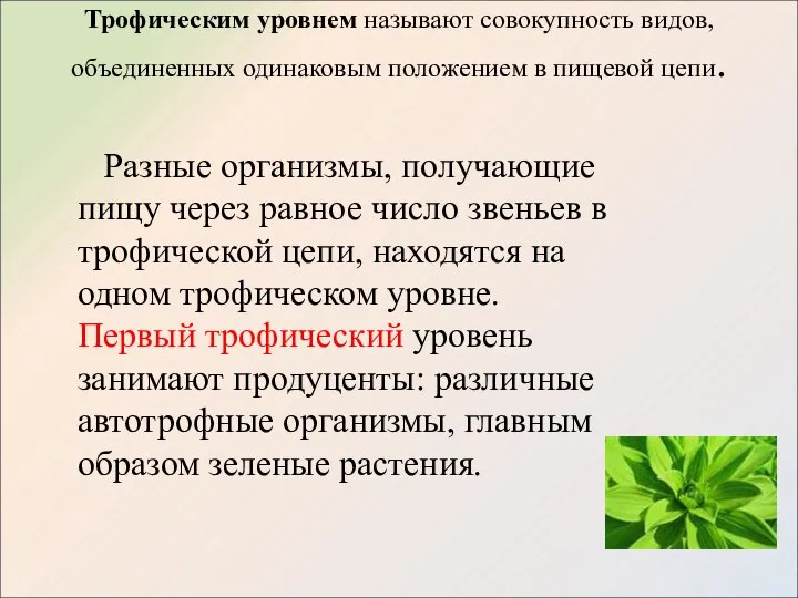 Трофическим уровнем называют совокупность видов, объединенных одинаковым положением в пищевой цепи.