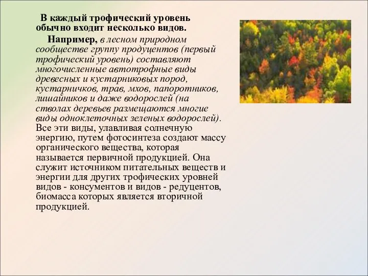 В каждый трофический уровень обычно входит несколько видов. Например, в лесном