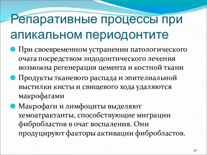 Репаративные процессы при апикальном периодонтите При своевременном устранении патологического очага посредством