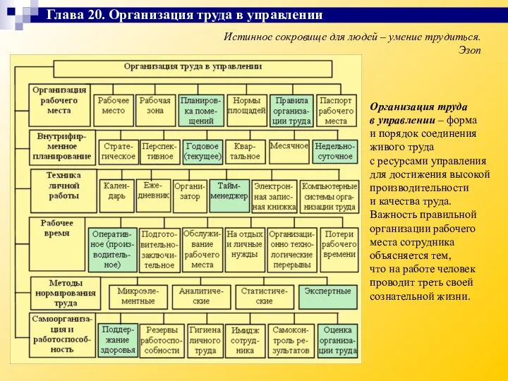 Истинное сокровище для людей – умение трудиться. Эзоп Организация труда в